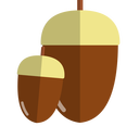 どんぐりの親子