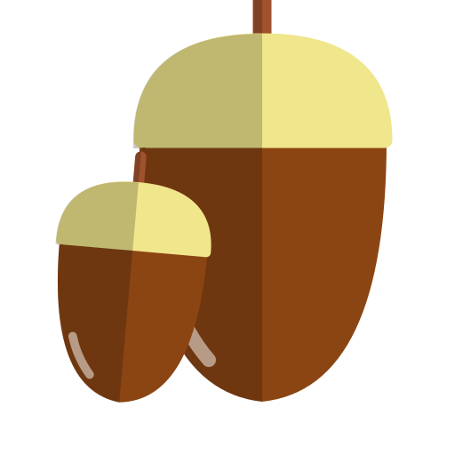 どんぐりの親子