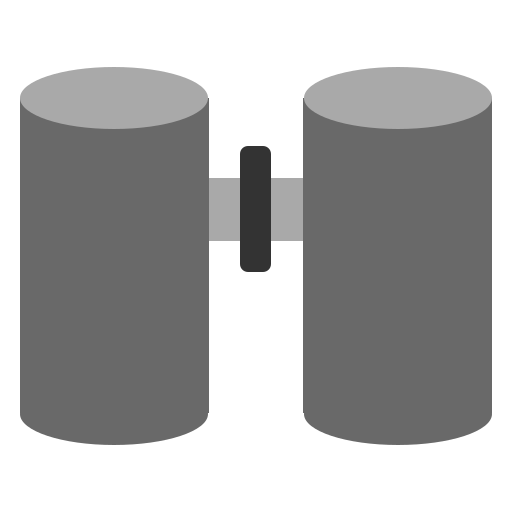 双眼鏡 グレースケール