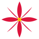 ポインセチアの花